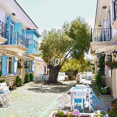 Zeytin Arasi 3* Ayvalı