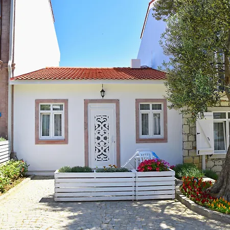 Zeytin Arasi Ayvalik