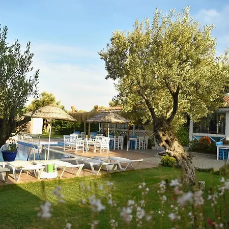 Zeytin Arası 3* Ayvalı
