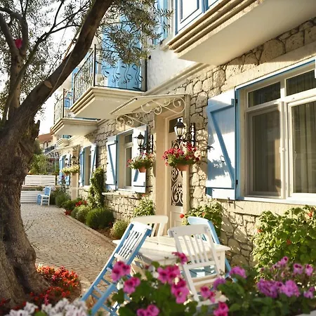 Zeytin Arasi