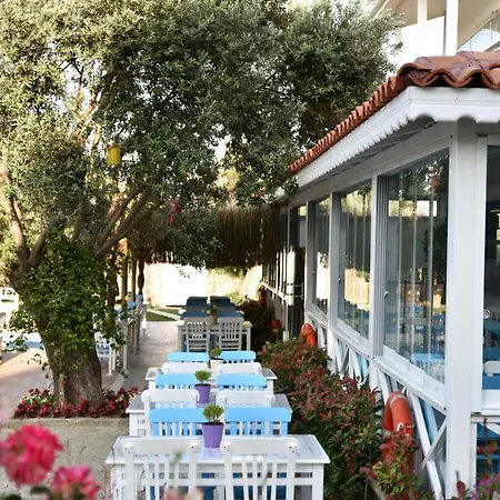 Zeytin Arasi Aparthotel Ayvalı