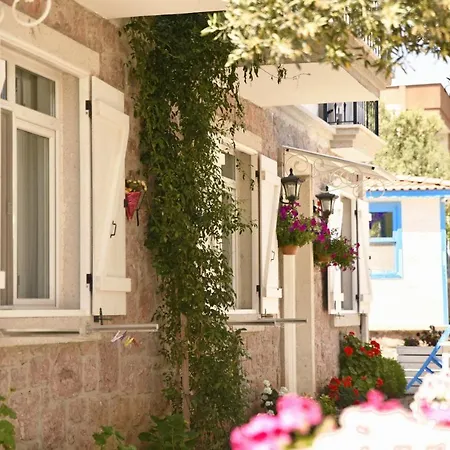 Zeytin Arasi 3*