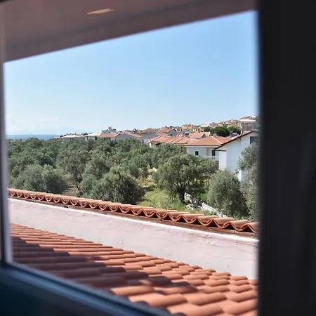 Zeytin Arasi 3*