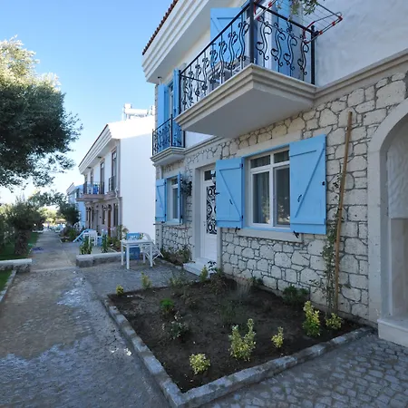 Zeytin Arasi Ayvalı