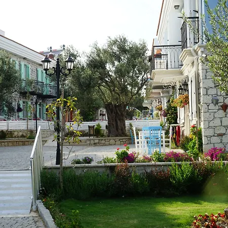 Zeytin Arasi