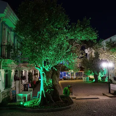 Zeytin Arasi Hotel de apartamente Ayvalı