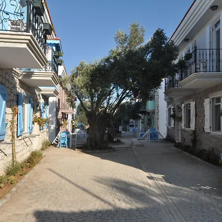 Zeytin Arasi Hotel de apartamente Ayvalı