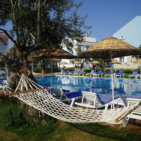 Zeytin Arası 3* Ayvalı