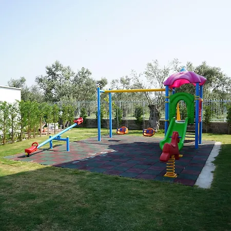 Zeytin Arasi Ayvalı