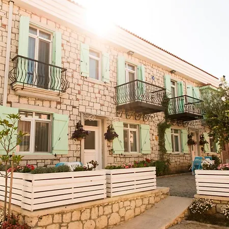 Zeytin Arasi 3*
