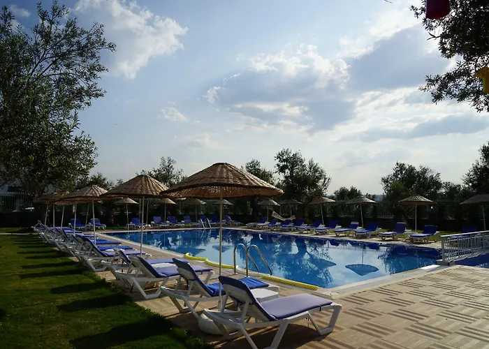 Zeytin Arasi Ayvalı