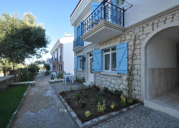 Zeytin Arasi Ayvalı