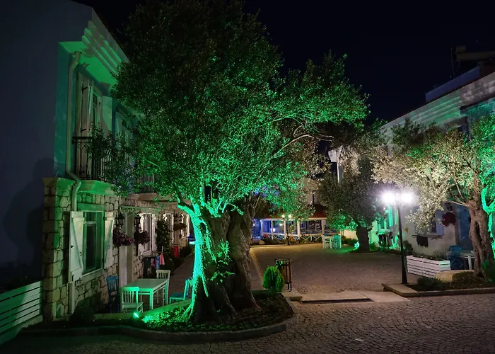 Zeytin Arasi Aparthotel Ayvalı