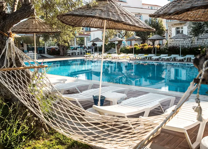 Zeytin Arasi Ayvalı