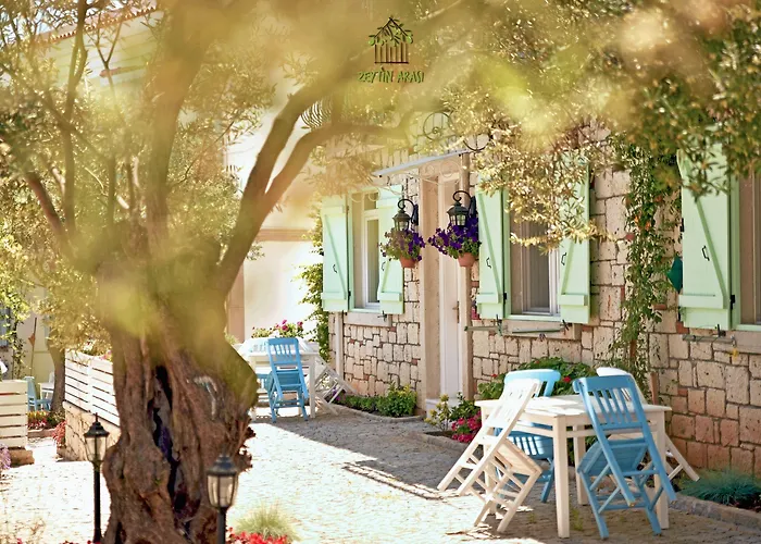 Zeytin Arasi Ayvalı